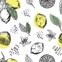 Grafik Muster mit Zitronen, Zitrone Scheiben mit Blumen. nahtlos Muster mit Sommer- Zitronen, handgemalt im Tinte. Vektor Hintergrund mit Zitrusfrüchte Früchte und Blumen, Geäst. Gelb Zitronen