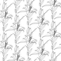 blommig sömlös mönster av svart linjär teckning av lilja blommor på vit bakgrund. dekorativ skriva ut för tapet, färg, omslag, textil, mode tyg eller Övrig tryckbar omslag vektor