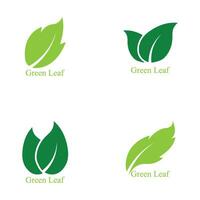 logotyper av gröna blad ekologi naturelement vektor