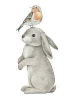 Aquarell Wald Robin Vogel und Hase. Hand gezeichnet schön Lied Vogel Erithacus Röteln, Hase Illustration. Wald Design Element zum Mauer Aufkleber, Poster, Einladung und Gruß Karten vektor