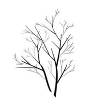 Vektor Bäume Silhouetten auf Weiß Hintergrund