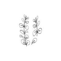 blommig clip art eukalyptusblad vektor