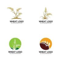 Landwirtschaft Weizen Logo Vorlage Vektor Icon Design