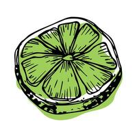 vektor kalk ClipArt. hand dragen citrus- ikon. frukt illustration. för skriva ut, webb, design, dekor