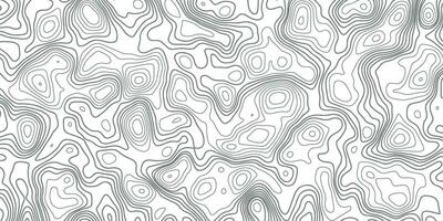 topografisch Karte. topografisch Hintergrund. Topographie Karte Linie. schwarz und Weiß Muster von Linien und Kurven vektor