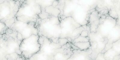 vit marmor textur och bakgrund. vektor