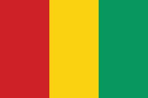 Guinea Flagge Vektor Illustration mit offiziell Farben und genau Anteil