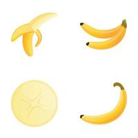 Banane Symbole einstellen Karikatur Vektor. reif exotisch Obst vektor