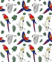 Vektor nahtloses Muster von handgezeichneten Papageien