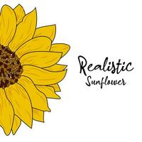 realistisch Sonnenblume Design vektor