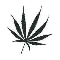 marijuana blad ikon grafisk vektor design illustration