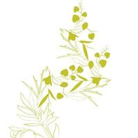 ein detailliert Zeichnung von ein Ast mit beschwingt Blätter und reif Beeren vektor