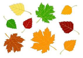 uppsättning av höst löv, annorlunda färger på transparent bakgrund med skugga. begrepp - höst, höst humör. isolerat höst element för design lönn löv, björk löv vektor