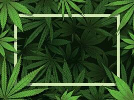 Grün Hanf rahmen. Marihuana Blätter Grenze, medizinisch Drogen und Cannabis Dekoration Vektor Illustration Hintergrund
