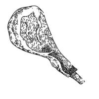 Rindfleisch Fleisch skizzieren Hand gezeichnet Vektor