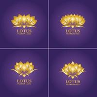 goldene Lotusblume Logo Vektor-Design-Vorlage vektor