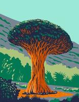 el drago milenarioor dragon tree in tenerife spanien wpa poster art vektor