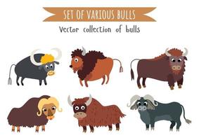 Reihe von verschiedenen Stier. Cartoon Tier Tierwelt vektor