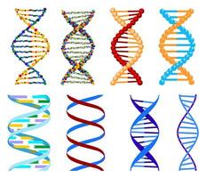 DNA, genetisch Zeichen, Elemente und Symbole Sammlung. Piktogramm von DNA Satz. Symbol isoliert. können Sein benutzt zum Arbeitsablauf Layout, Diagramm, Nummer Optionen. DNA Vektor