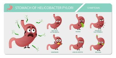 tecknad serie mage tecken infographic helicobacter pylori symptom vektor