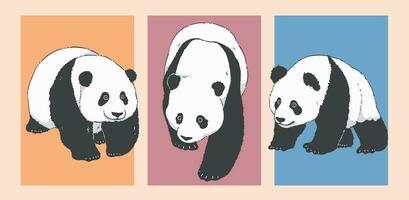 süß Karikatur Gehen Panda Illustration einstellen vektor