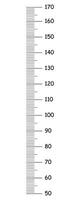 Kinder Höhe Diagramm von 50 zu 170 Zentimeter. Vorlage zum Mauer Wachstum Aufkleber isoliert auf ein Weiß Hintergrund. Vektor einfach Gliederung Illustration. Meter Mauer oder Wachstum Herrscher.