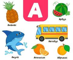 Russisch Alphabet. geschrieben im Russisch - - Ananas, Wassermelone, Hai, Aprikose, Bus vektor