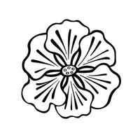 Umriss, Linien Symbol Blume, Mohn, Vektor Illustration