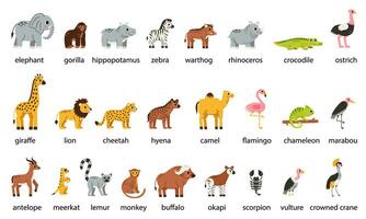 einstellen von süß afrikanisch Tiere mit Namen im Karikatur Stil auf Weiß Hintergrund. vektor