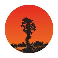 ein Silhouette von ein Palme Baum im das Mitte von ein rot Himmel vektor