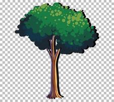 ett träd isolerat vektor