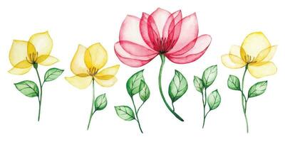 Aquarell Zeichnung, einstellen von transparent Rose Blumen im Rosa und Gelb. zart Röntgen Illustration vektor