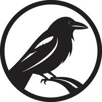 anmutig Krähe Silhouette Symbol kompliziert Vogel Kamm vektor