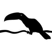 Tukane sind neotropisch Mitglieder von das in der Nähe von Passerine Vogel Familie Ramphastidae. das Ramphastidae sind die meisten eng verbunden zu das amerikanisch Barbets, Vogel Silhouette. Vektor Illustration