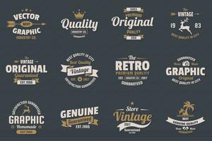 Vintage Retro Vector Logo för banner