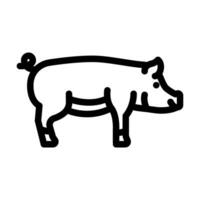 duroc Schwein Rasse Linie Symbol Vektor Illustration