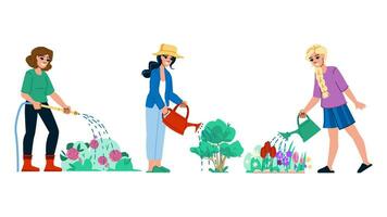 Wasser Garten Frau Bewässerung Vektor