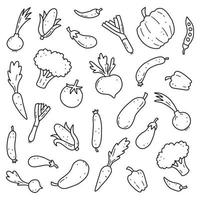 handritad uppsättning grönsaker. vektor illustration av doodle skecth