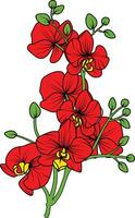 rot Orchidee Ast Vektor Blume, Illustration von schön rot Orchidee Blume