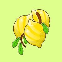 apelsin frukt vektor illustration lämplig för hälsosam mat projekt