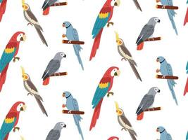 papegojor, exotisk sömlös mönster. ändlös tropisk bakgrund, djungel fåglar. upprepa skriva ut design. färgad platt vektor illustration för textil, tapet.