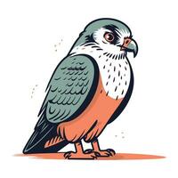 kestrel fågel. vektor illustration av en kestrel fågel.