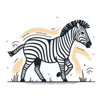 Zebra. Hand gezeichnet Vektor Illustration isoliert auf ein Weiß Hintergrund.