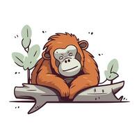 Vektor Illustration von ein Orang-Utan Sitzung auf ein Protokoll. isoliert auf Weiß Hintergrund.