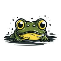 Frosch. Vektor Illustration von ein Karikatur Frosch auf Weiß Hintergrund.