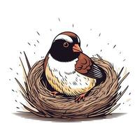 Vogel im das Nest. Vektor Illustration. isoliert auf Weiß Hintergrund.