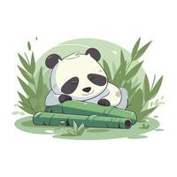 süß Panda Bär mit Bambus. Vektor Illustration im Karikatur Stil.