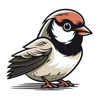 Vektor Illustration von ein Karikatur Spatz Vogel isoliert auf Weiß Hintergrund.