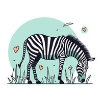 Zebra im das Wiese. Vektor Illustration im eben Stil.