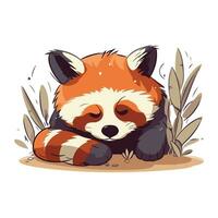 rot Panda Schlafen im das Dschungel. süß Karikatur Vektor Illustration.